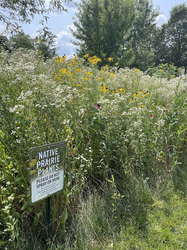 Viking Meadows 161st Street Native Prairie
