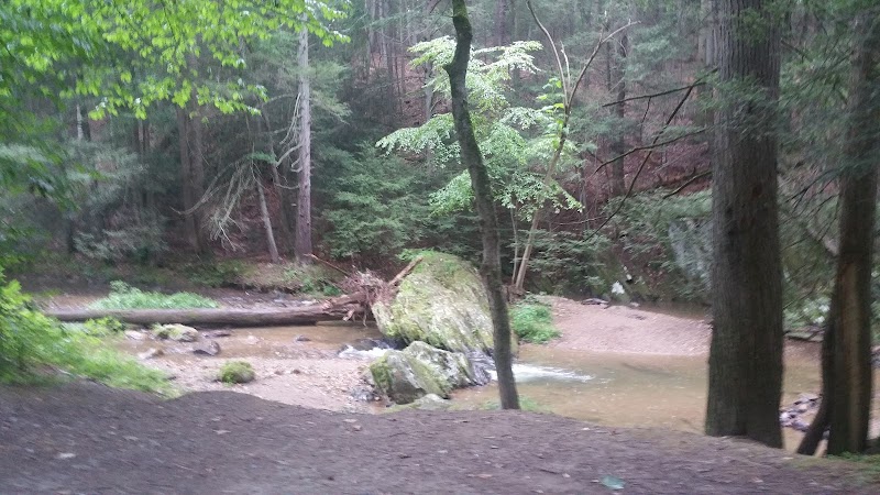 Fishing Creek Nature Preserve