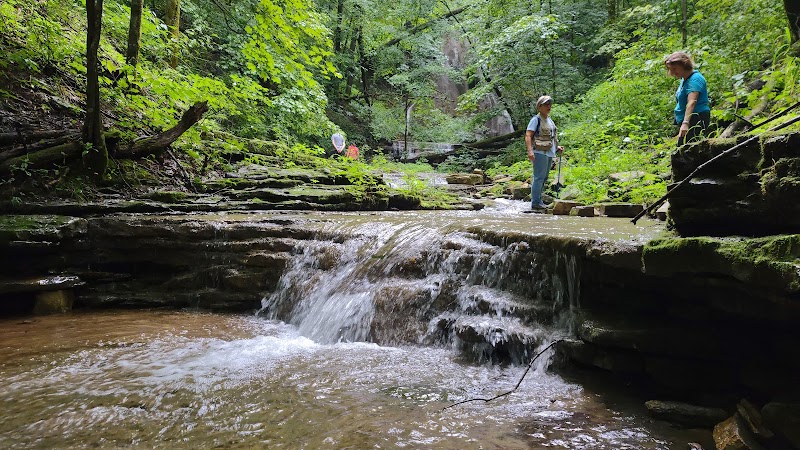 Floracliff Nature Sanctuary