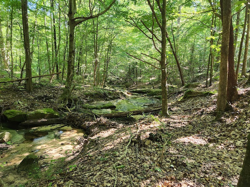 Hilliard Creek Trailhead