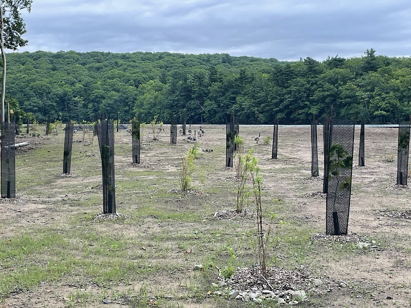 Ruisseau entre le lac Seigneurial et le lac du Moulin