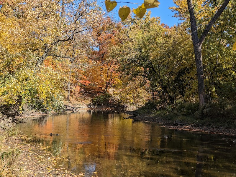 Sidney Yates Flatwoods