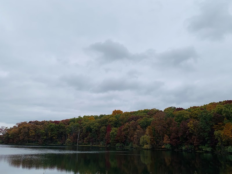 Lake View and Picnic Area