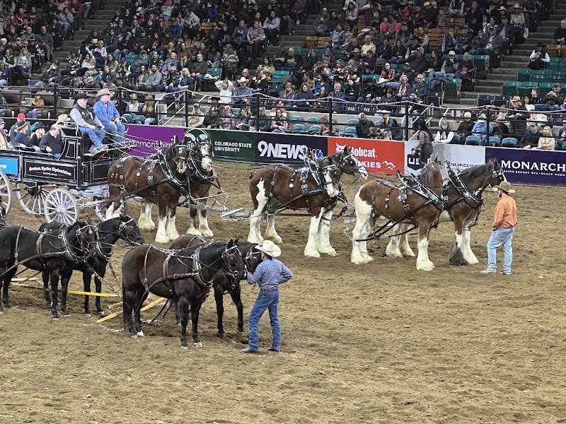 National Western Stock Show