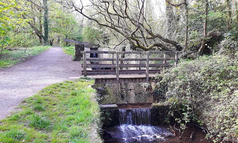 Forest Farm Country Park