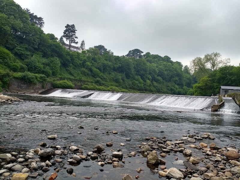 Forest Farm Country Park