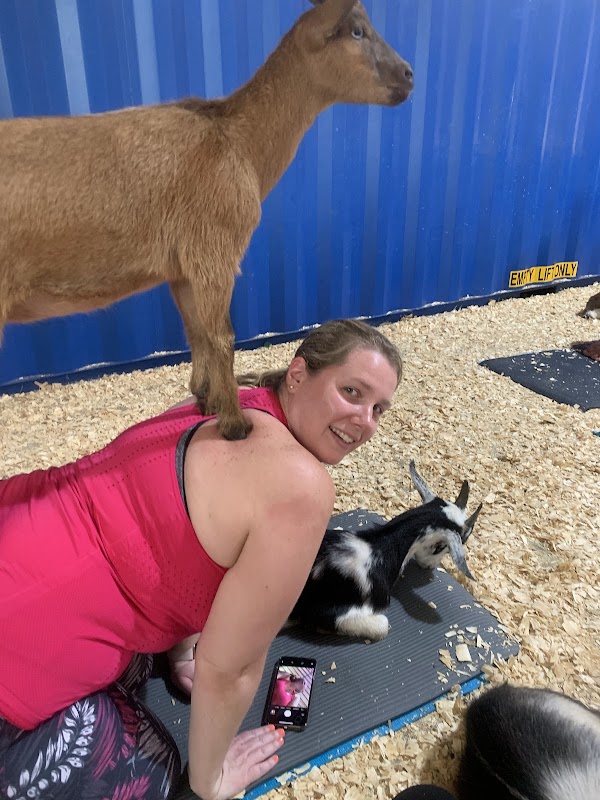 Grady Goat Yoga Tampa Bay
