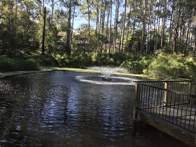 The Lakes of Cherrybrook