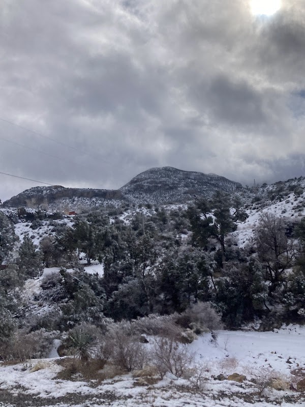 Toiyabe National Forest