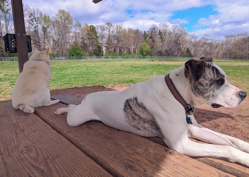 McAlpine Creek Dog Park