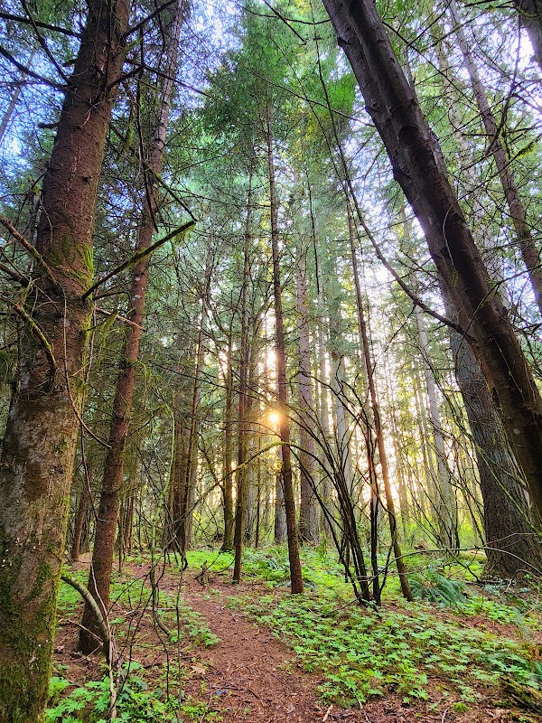 CASEE Forest and Nature Trails