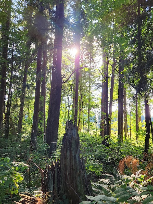 CASEE Forest and Nature Trails
