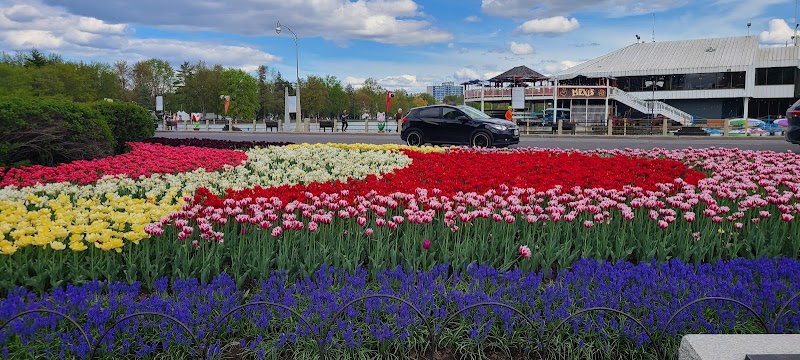 Ekeau Tulip Festival Water Taxi