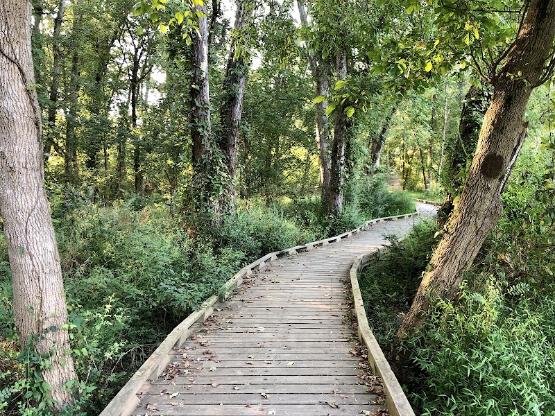 Conestee Nature Preserve