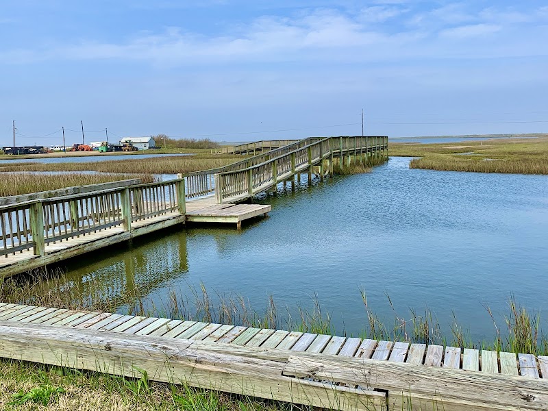 Beach Access Point #40