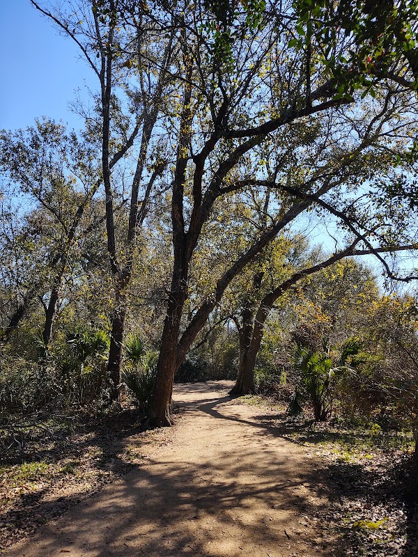 Willow Springs Bayou