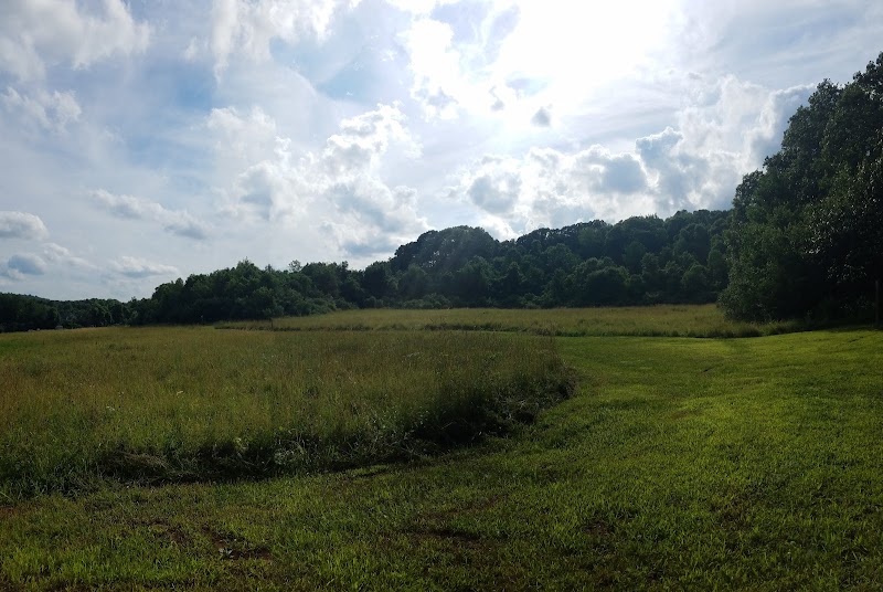 Hatchery Brook Conservation Area