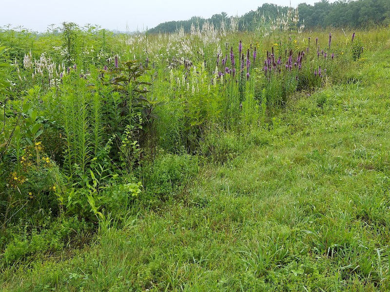 Community garden southborough