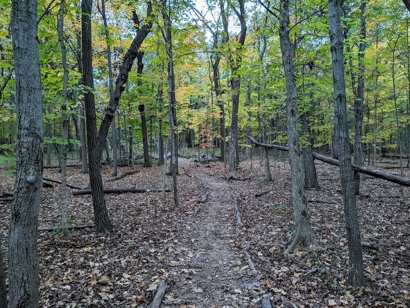 George F Nixon Woods