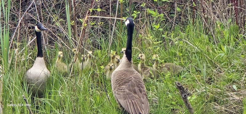 William W. Powers State Recreation Area