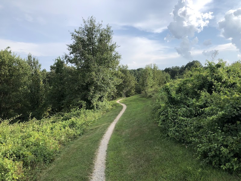 Laurel Hill Mountain Bike Trails