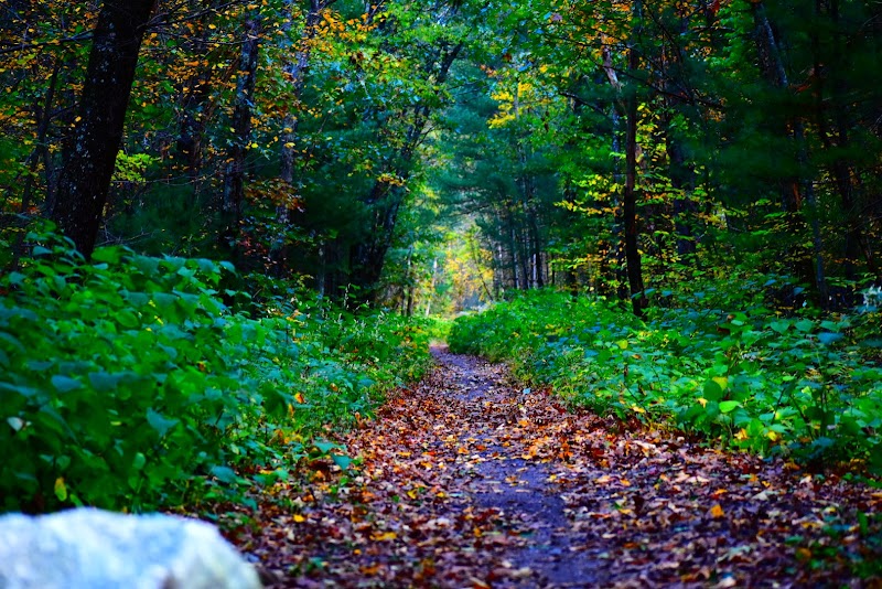 Southern New England Trunkline Trail - Parking