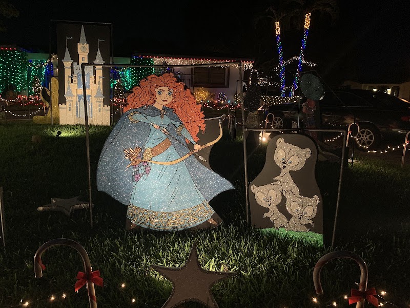 Amazing Christmas Lights & Halloween House