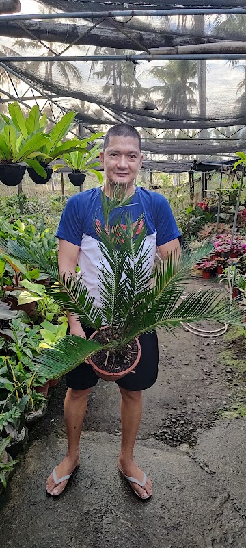 Antique Garden Club Plant Display Marketing