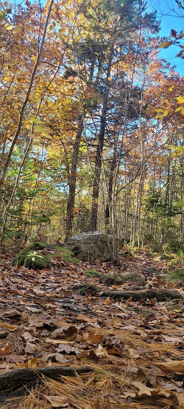 Georges River Land Trust