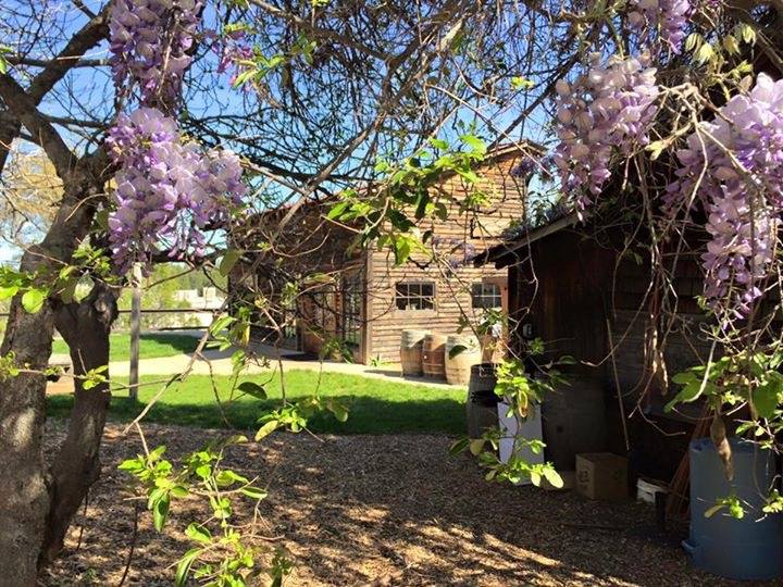 Bumgarner Wine Tasting Camino