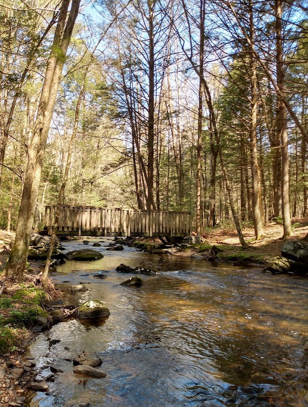 McKinstry Brook Wildlife Management Area