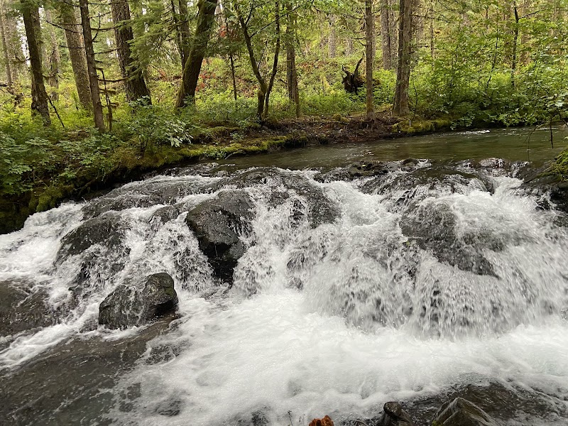 Bodhi Falls