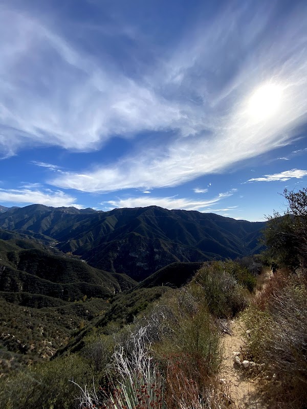 Entering Sheep Mountain Wilderness