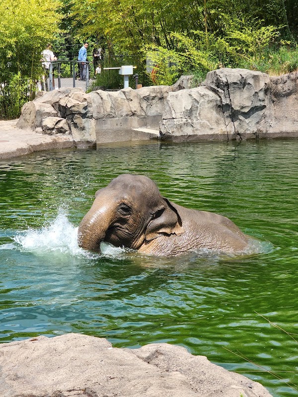 Oregon Zoo