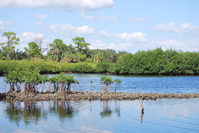 Upper Tampa Bay Park