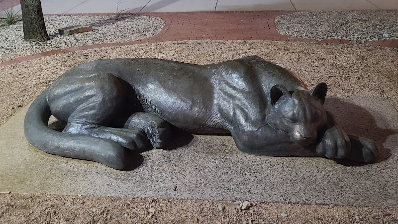 Fort Worth Sleeping Panther