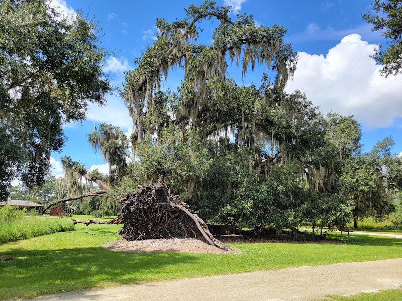 Shingle Creek Regional Park