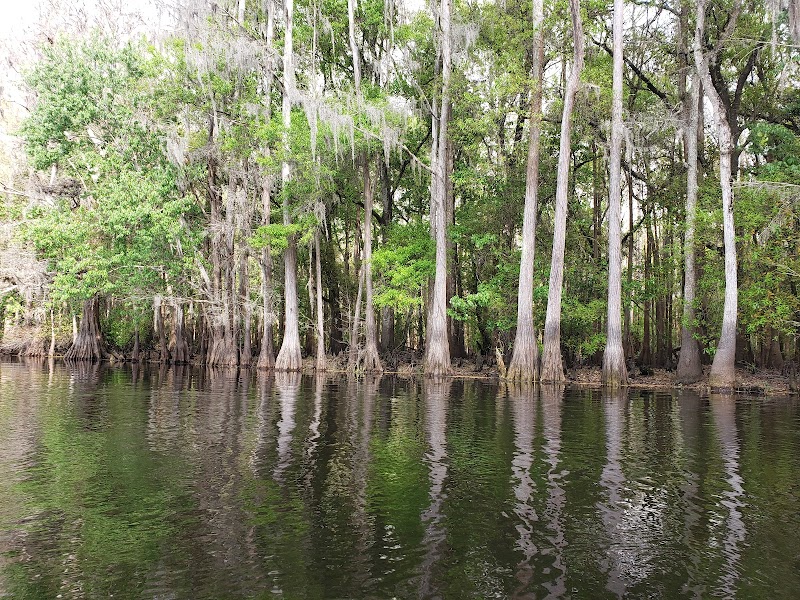 Shingle Creek Regional Park