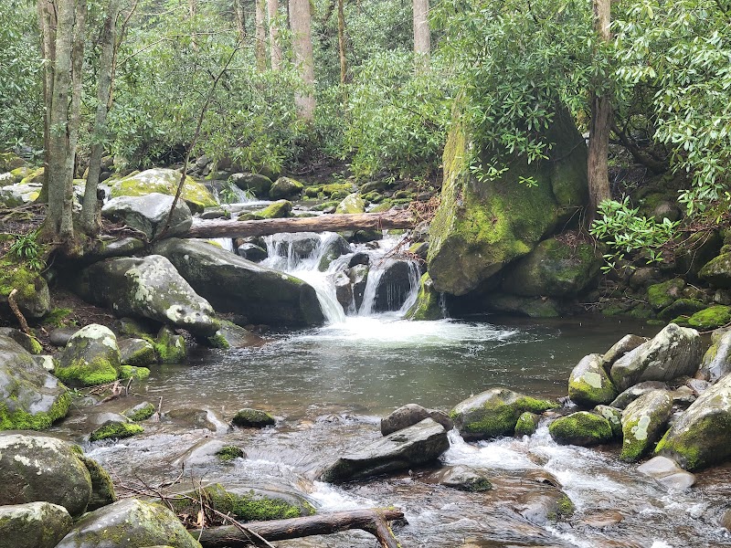 The Place of a Thousand Drips