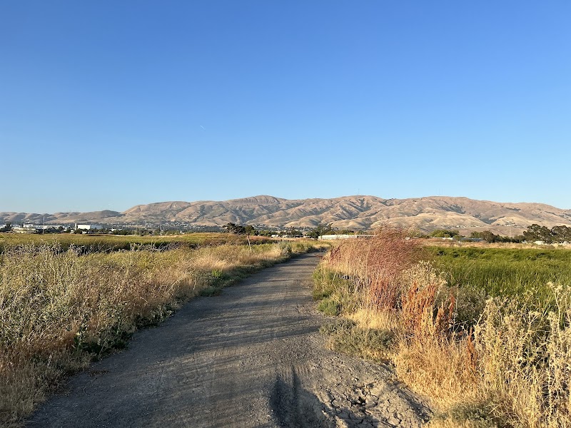 Coyote Lagoon at Don Edwards