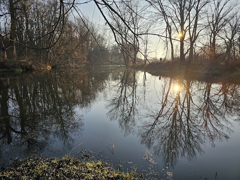 Rozlewisko rzeki Wilanówka i kanału Sobieskiego