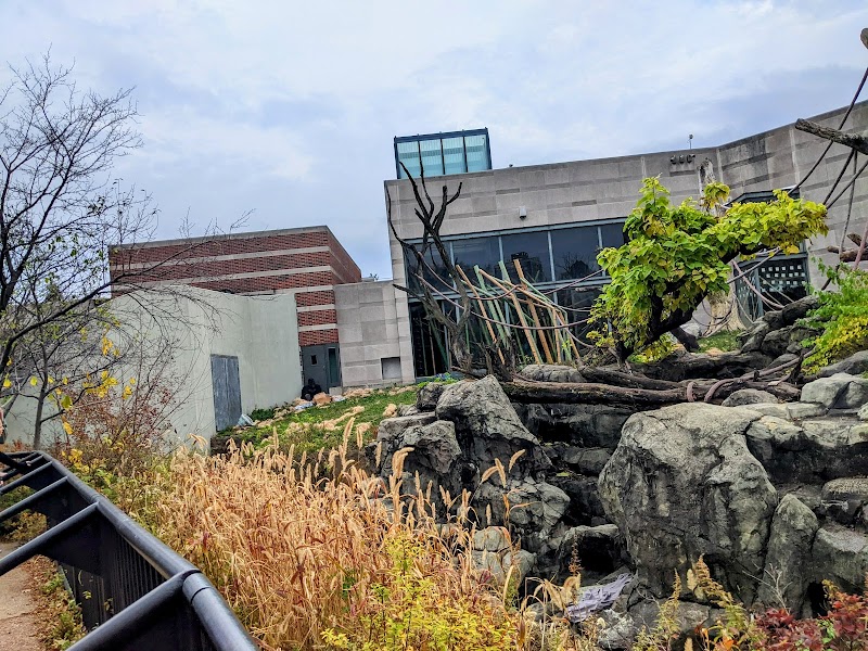 Outdoor Ape Viewing Pavilion