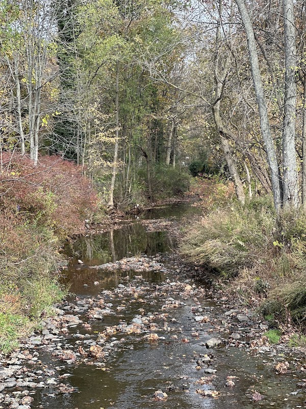 Charles Shaughnessy Park