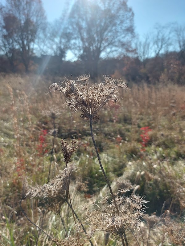 Hanover Meadows Park