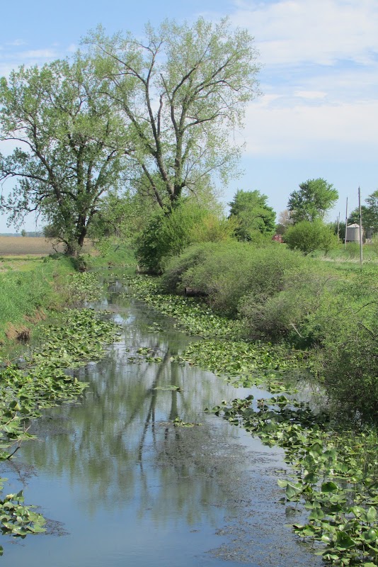 Sprig Slough Wetland Conservation Area