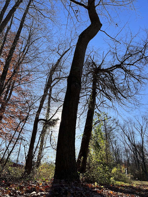 Crosswick Wildlife Area