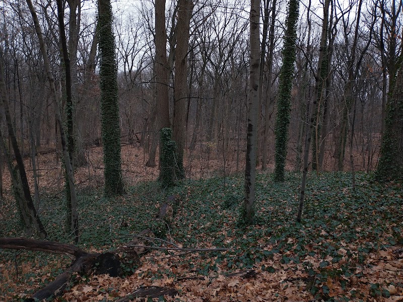 Jackson Pond Playground