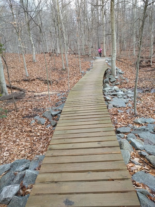 Meadowood Mountain Bike Trail Parking