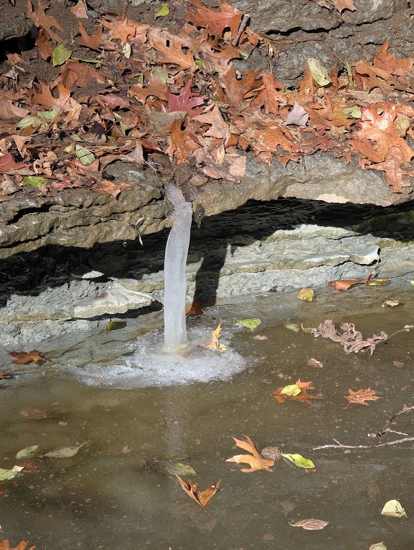 Keehner Park Trail Head West