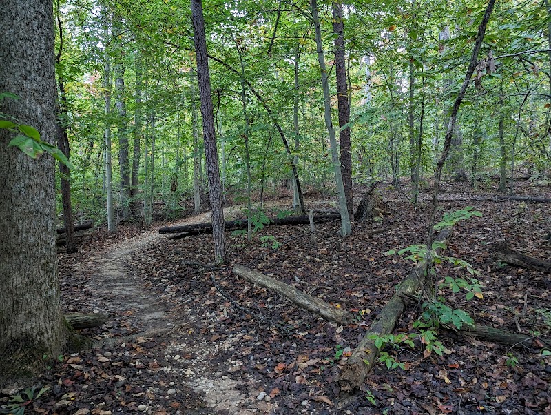 Meadowood Special Recreation Area